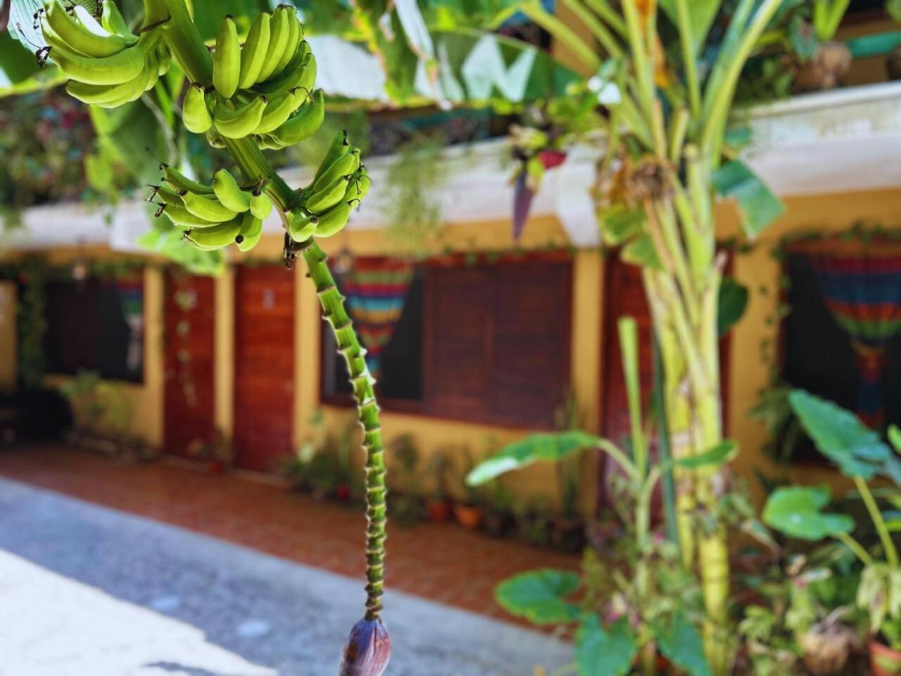 Hotel Casa Del Mar Mazunte Santa María Tonameca Dış mekan fotoğraf